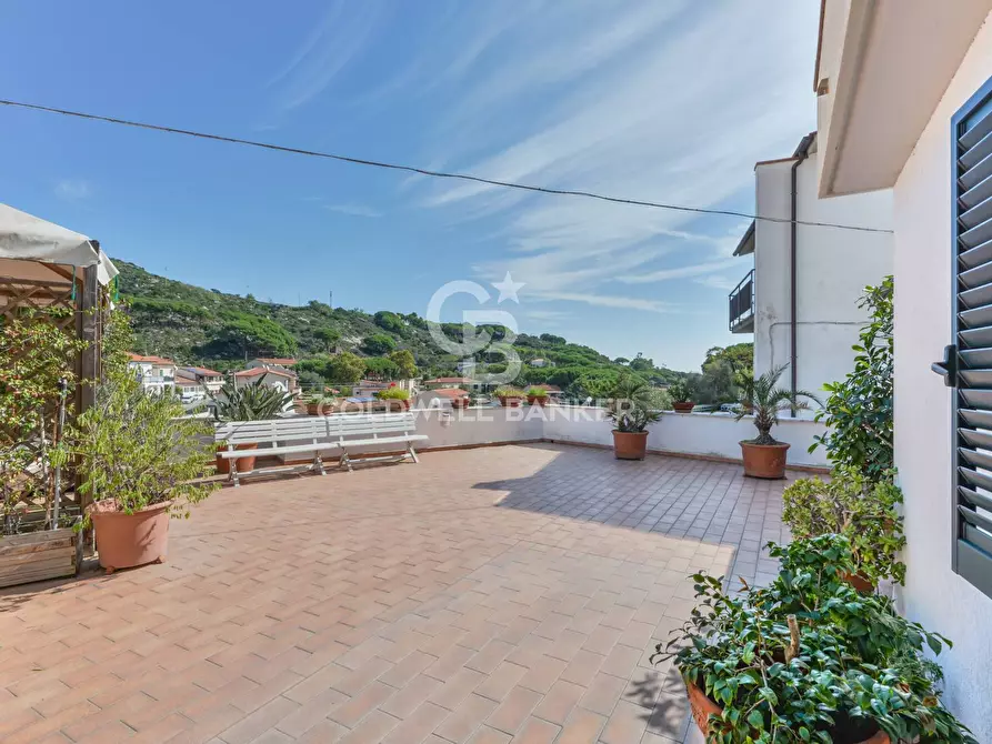 Immagine 2 di Villa in vendita  in Via della Costa a Campo Nell'elba