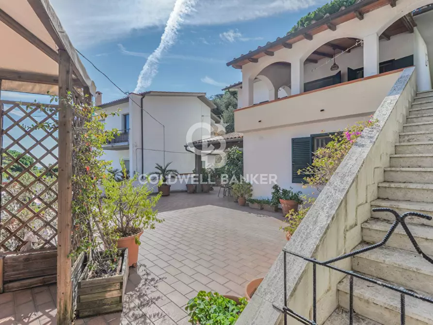 Immagine 4 di Villa in vendita  in Via della Costa a Campo Nell'elba