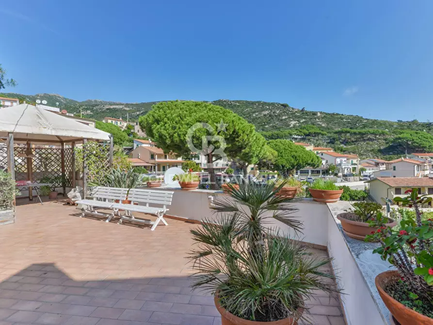 Immagine 5 di Villa in vendita  in Via della Costa a Campo Nell'elba