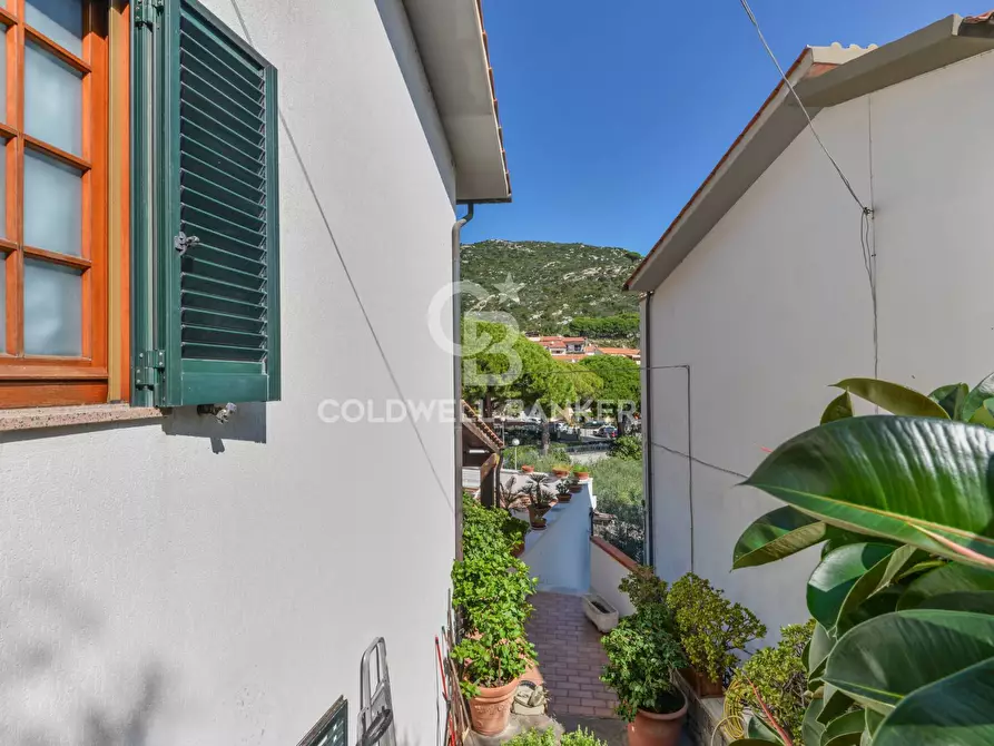 Immagine 30 di Villa in vendita  in Via della Costa a Campo Nell'elba