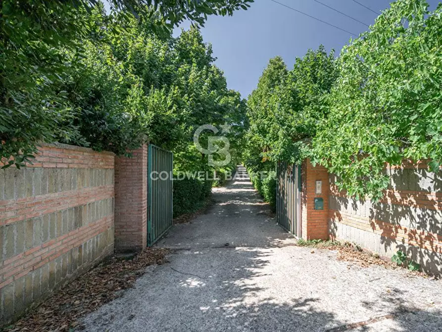 Immagine 3 di Villa in vendita  in S.P. Santa Severa - Tolfa km. 17.500 a Allumiere