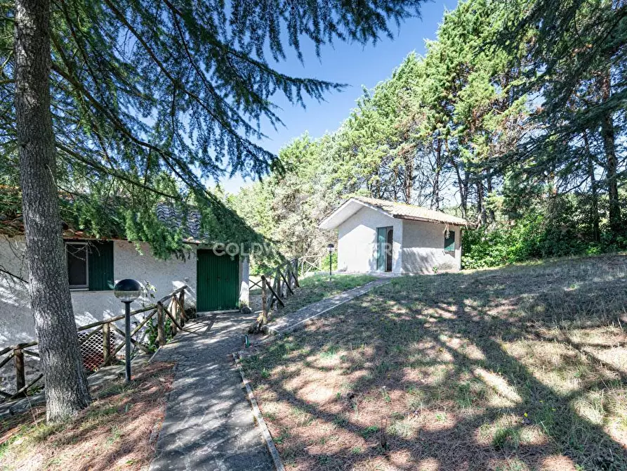 Immagine 37 di Villa in vendita  in S.P. Santa Severa - Tolfa km. 17.500 a Allumiere