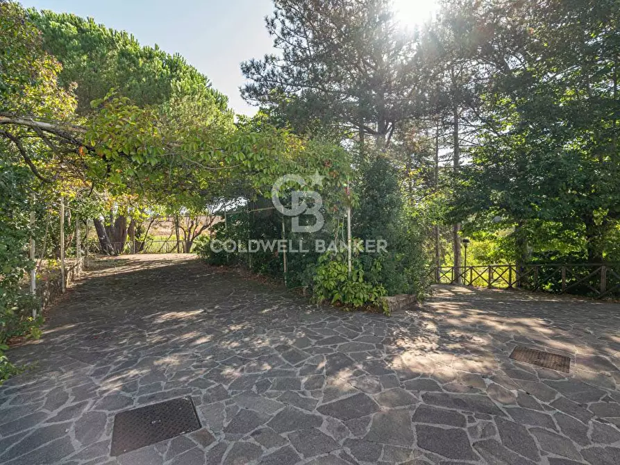 Immagine 42 di Villa in vendita  in S.P. Santa Severa - Tolfa km. 17.500 a Allumiere