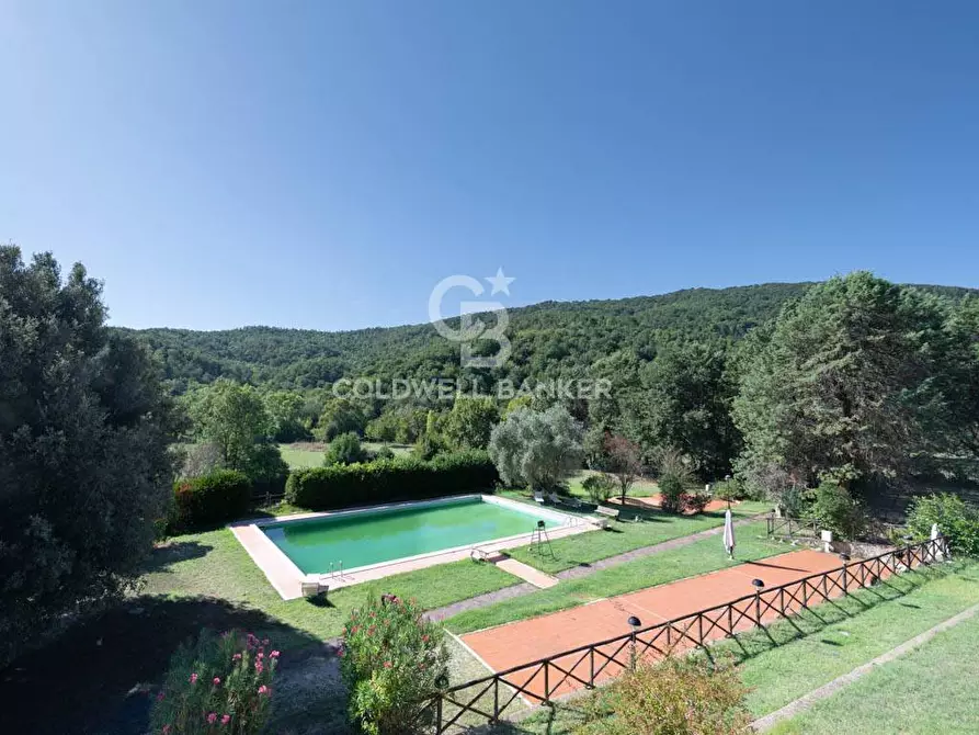 Immagine 23 di Villa in vendita  in S.P. Santa Severa - Tolfa km. 17.500 a Allumiere