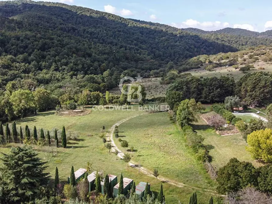 Immagine 48 di Villa in vendita  in S.P. Santa Severa - Tolfa km. 17.500 a Allumiere