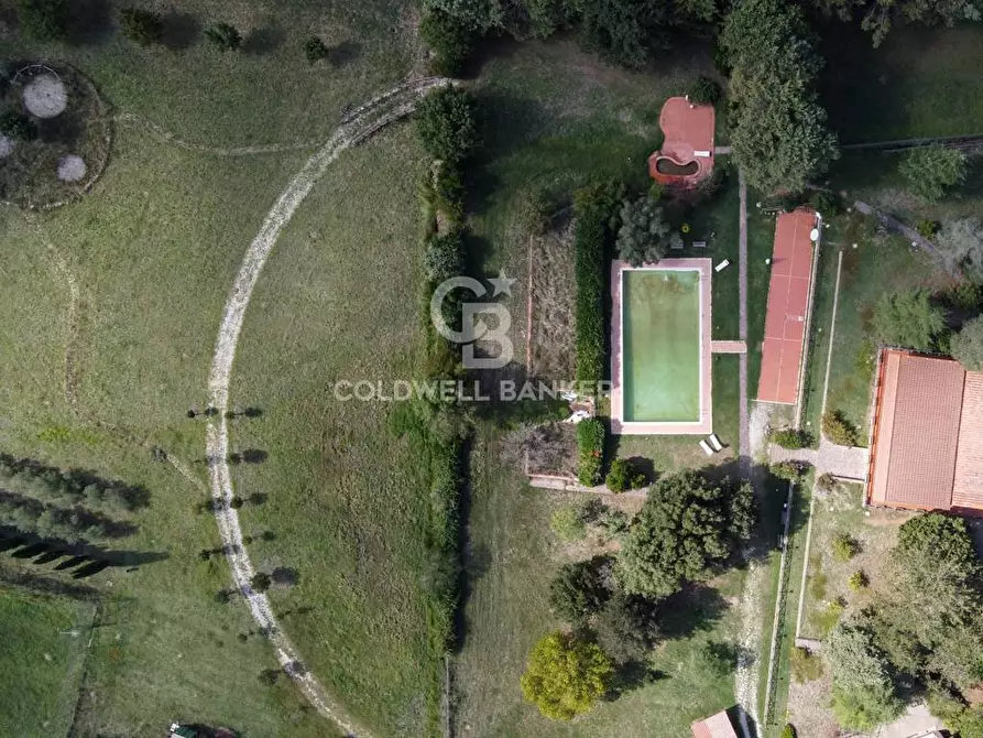 Immagine 44 di Villa in vendita  in S.P. Santa Severa - Tolfa km. 17.500 a Allumiere