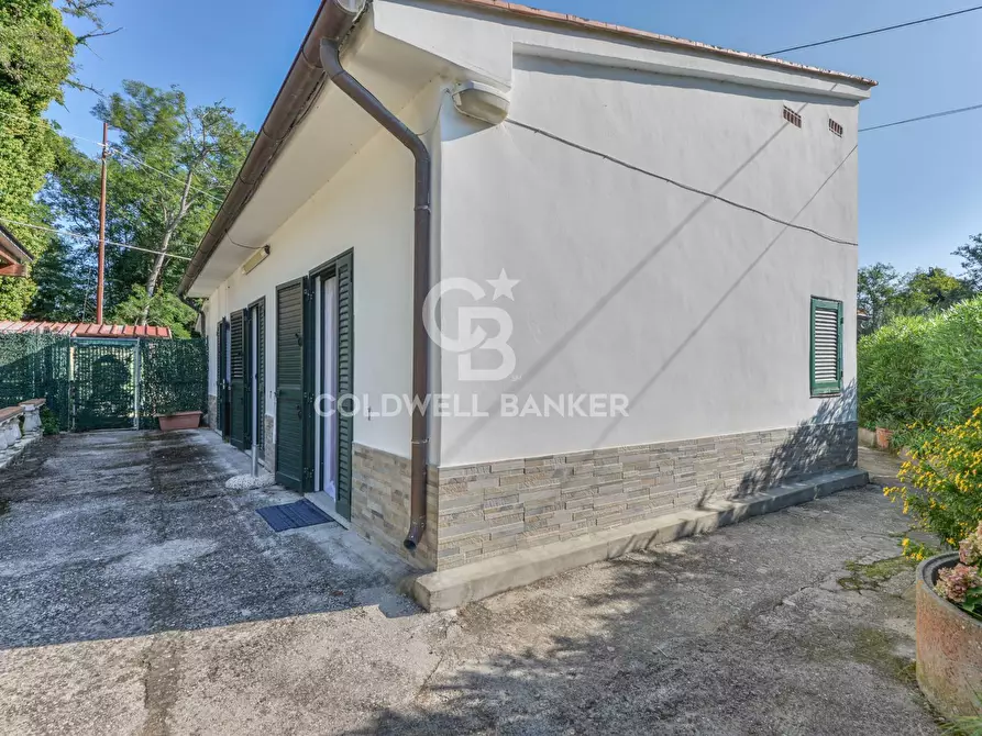 Immagine 23 di Villa in vendita  in Via di Borandasco a Campo Nell'elba