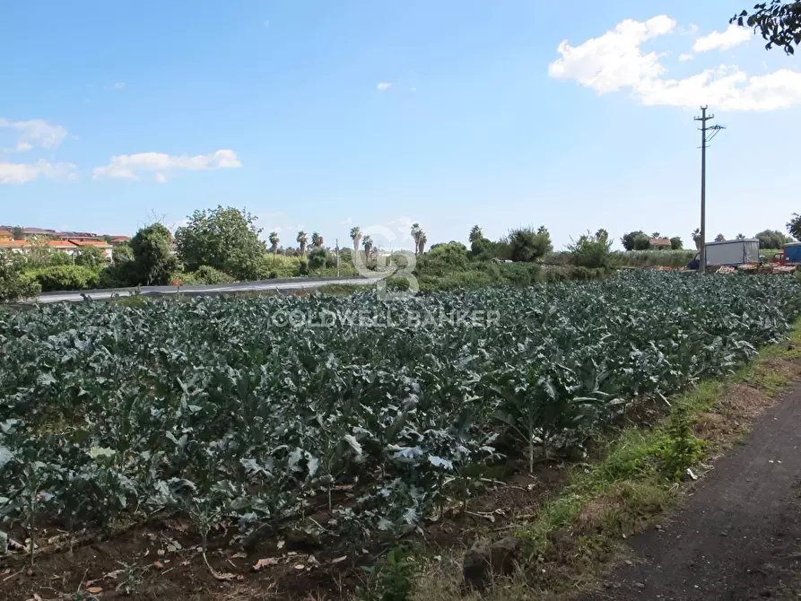 Immagine 6 di Locale commerciale in vendita  in Via Badalà 31 a Fiumefreddo Di Sicilia