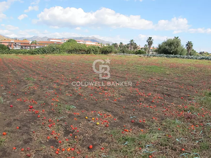 Immagine 20 di Locale commerciale in vendita  in Via Badalà 31 a Fiumefreddo Di Sicilia