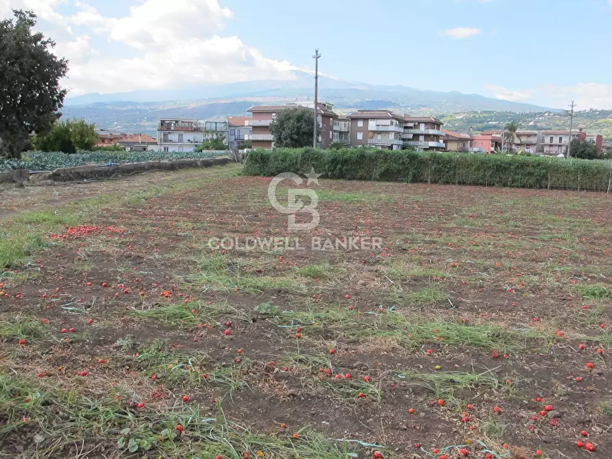 Immagine 24 di Locale commerciale in vendita  in Via Badalà 31 a Fiumefreddo Di Sicilia