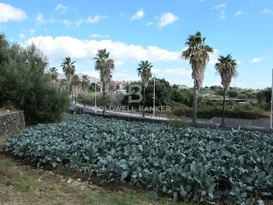 Immagine 25 di Locale commerciale in vendita  in Via Badalà 31 a Fiumefreddo Di Sicilia