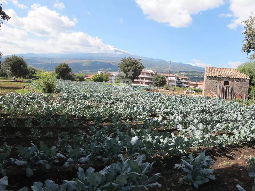 Immagine 28 di Locale commerciale in vendita  in Via Badalà 31 a Fiumefreddo Di Sicilia