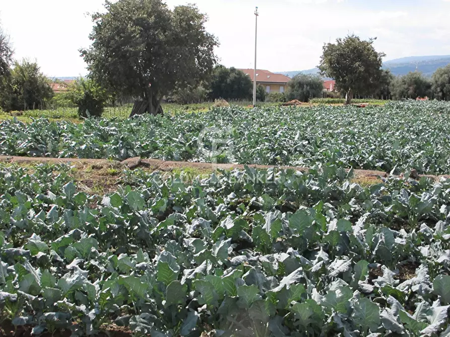 Immagine 29 di Locale commerciale in vendita  in Via Badalà 31 a Fiumefreddo Di Sicilia