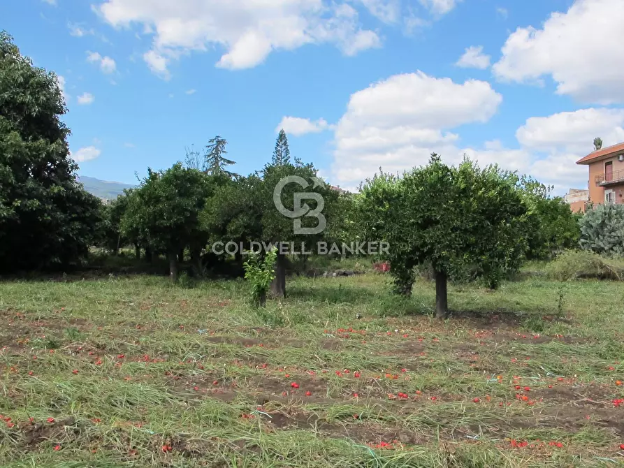 Immagine 5 di Locale commerciale in vendita  in via Badalà 31 a Fiumefreddo Di Sicilia