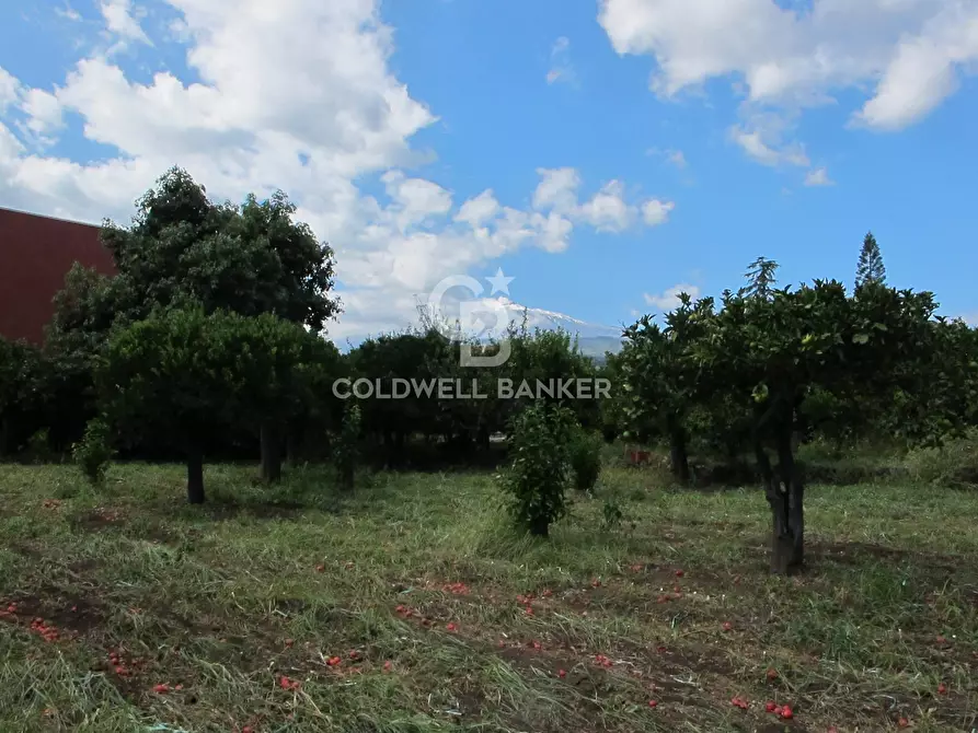 Immagine 6 di Locale commerciale in vendita  in via Badalà 31 a Fiumefreddo Di Sicilia