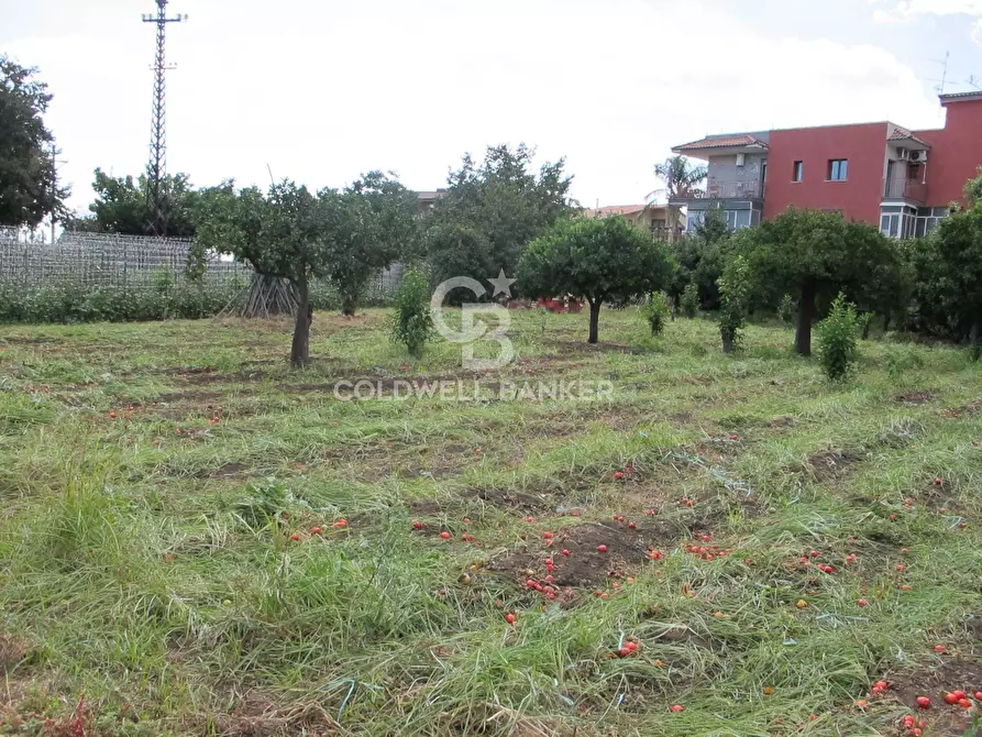 Immagine 7 di Locale commerciale in vendita  in via Badalà 31 a Fiumefreddo Di Sicilia