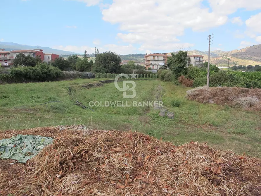 Immagine 12 di Locale commerciale in vendita  in via Badalà 31 a Fiumefreddo Di Sicilia