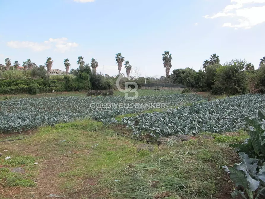 Immagine 13 di Locale commerciale in vendita  in via Badalà 31 a Fiumefreddo Di Sicilia