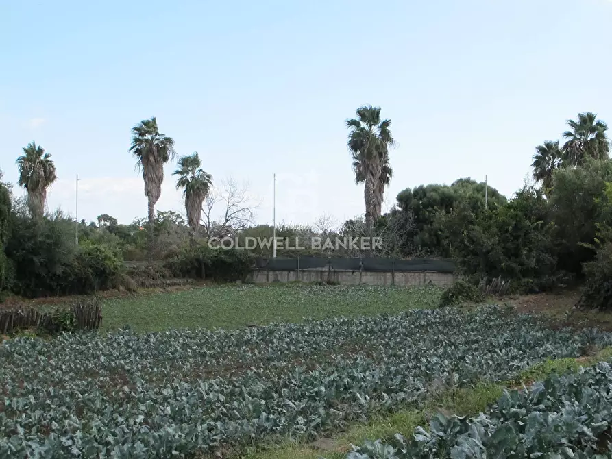 Immagine 14 di Locale commerciale in vendita  in via Badalà 31 a Fiumefreddo Di Sicilia