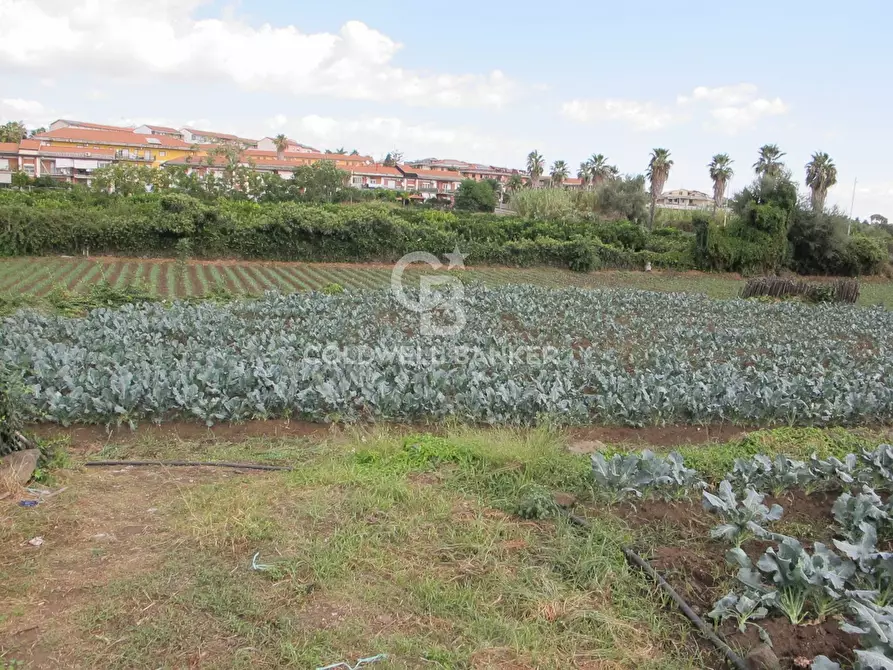 Immagine 15 di Locale commerciale in vendita  in via Badalà 31 a Fiumefreddo Di Sicilia