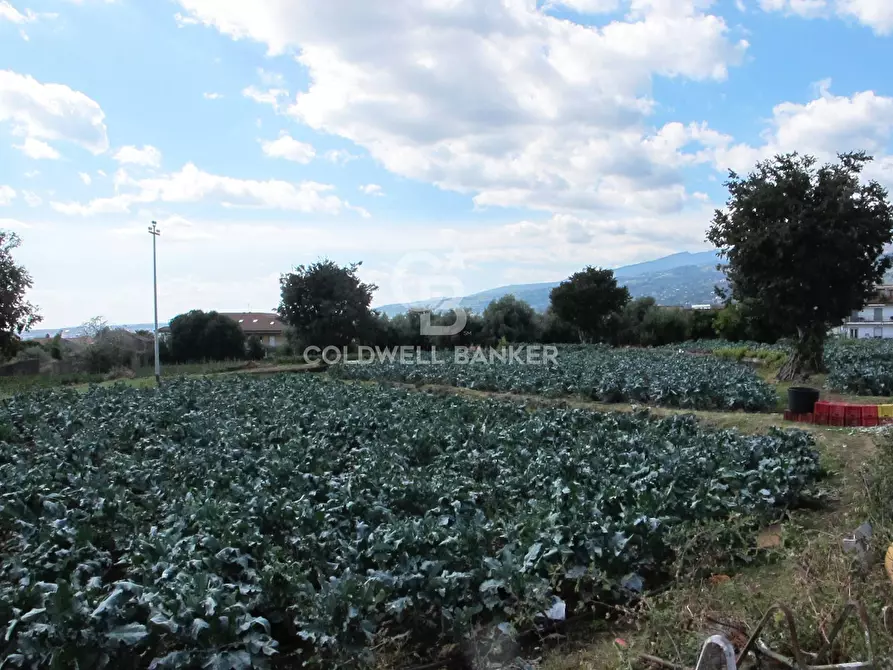 Immagine 19 di Locale commerciale in vendita  in via Badalà 31 a Fiumefreddo Di Sicilia