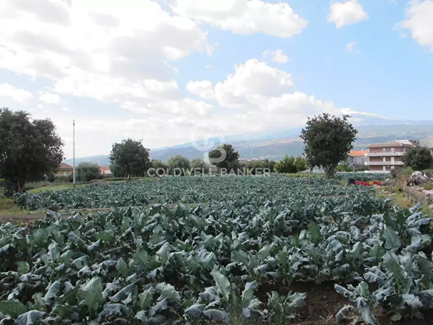 Immagine 24 di Locale commerciale in vendita  in via Badalà 31 a Fiumefreddo Di Sicilia