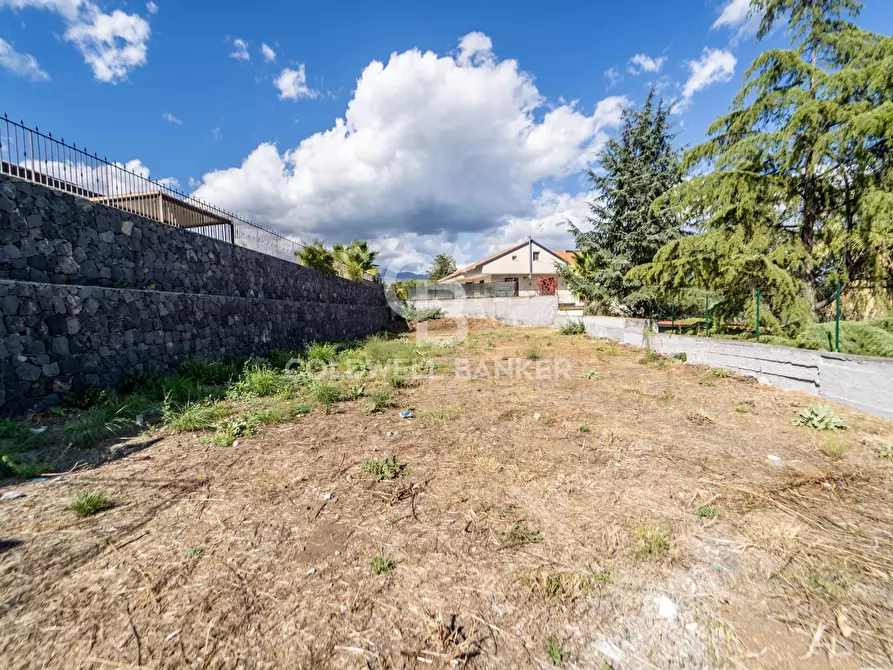 Immagine 7 di Villa in vendita  in via magenta 26 a Mascalucia