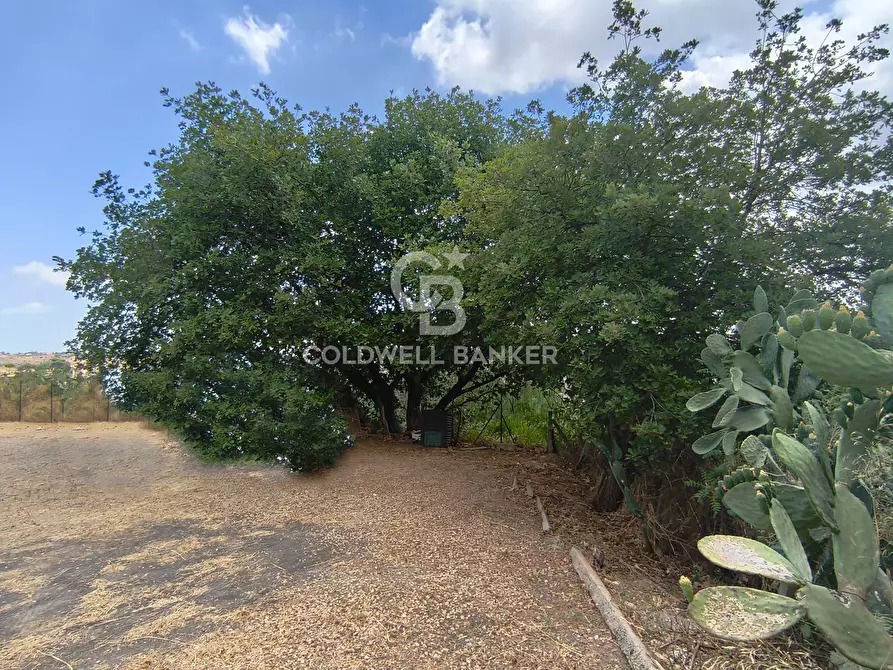 Immagine 32 di Villa in vendita  in Via delle Balatazze a Caltagirone