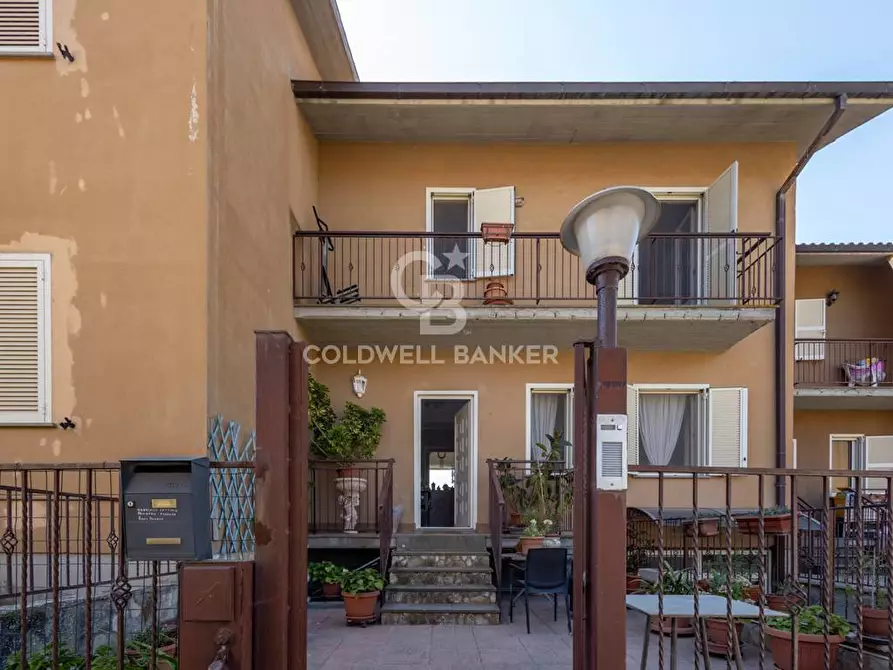 Immagine 3 di Villetta a schiera in vendita  in Via Giacomo Matteotti 6 a Arlena Di Castro