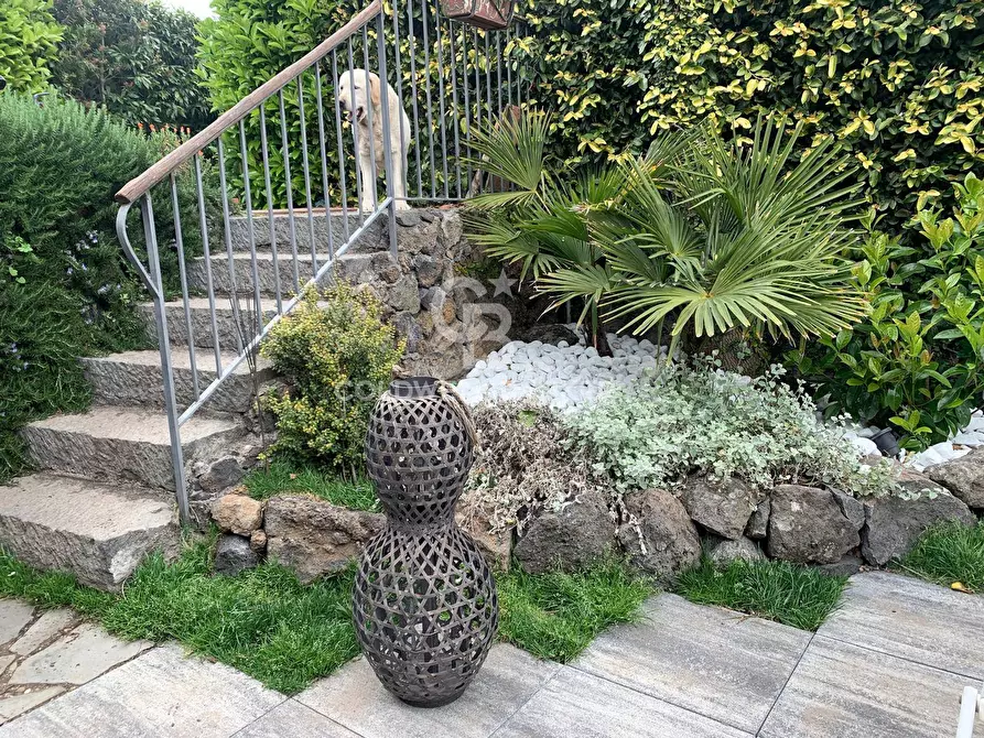 Immagine 4 di Casa indipendente in vendita  in Via Rua Di Sotto a San Gregorio Di Catania