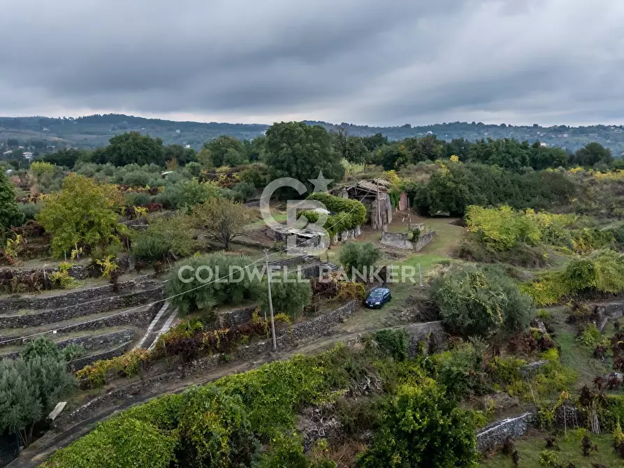 Immagine 12 di Rustico / casale in vendita  in Via San Michele 20 a Santa Venerina