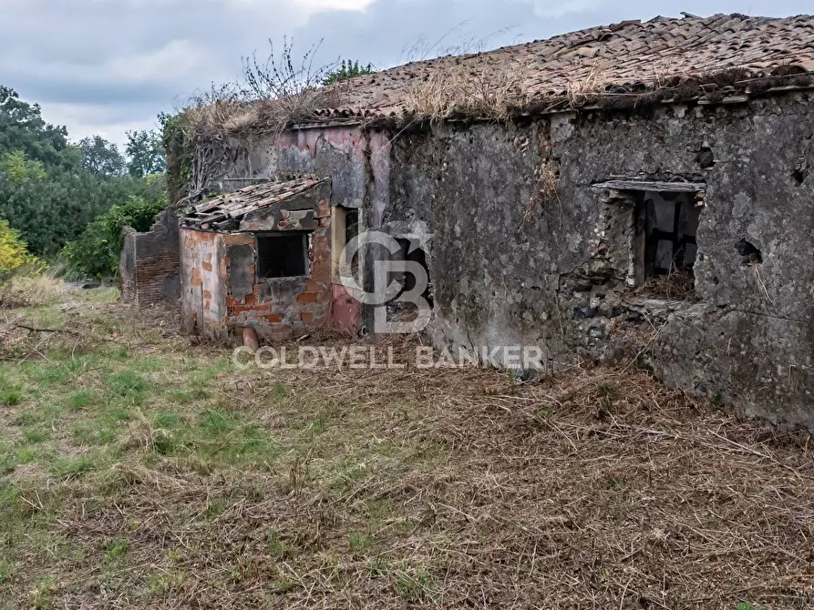 Immagine 3 di Rustico / casale in vendita  in Via San Michele 20 a Santa Venerina