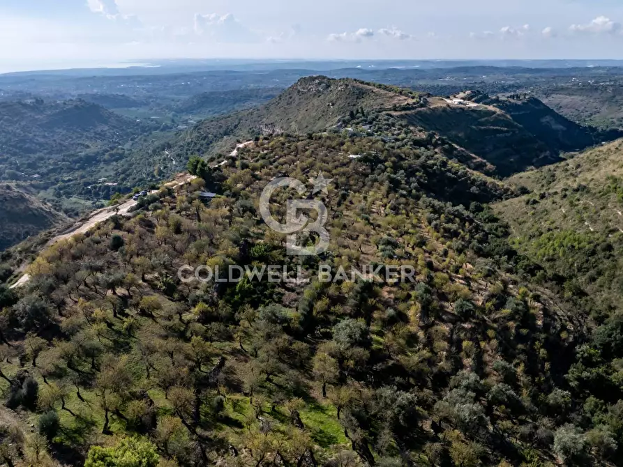 Immagine 2 di Terreno agricolo in vendita  a Noto