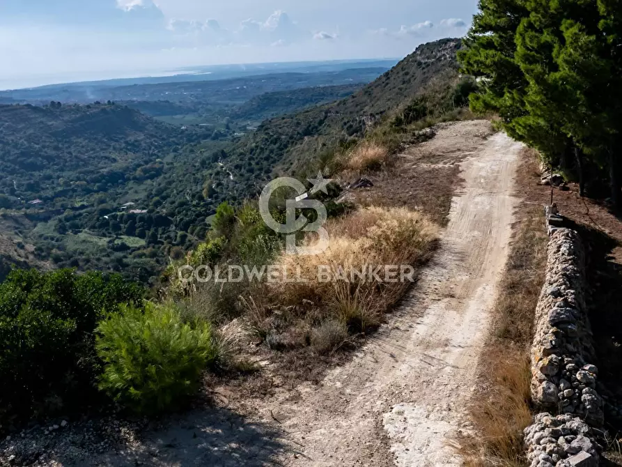 Immagine 3 di Terreno agricolo in vendita  a Noto