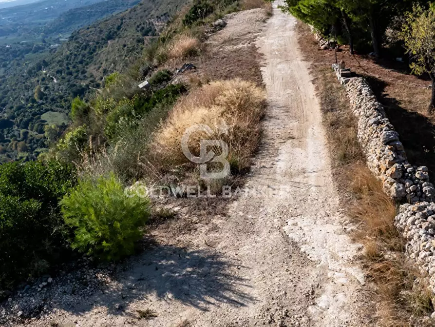 Immagine 4 di Terreno agricolo in vendita  a Noto