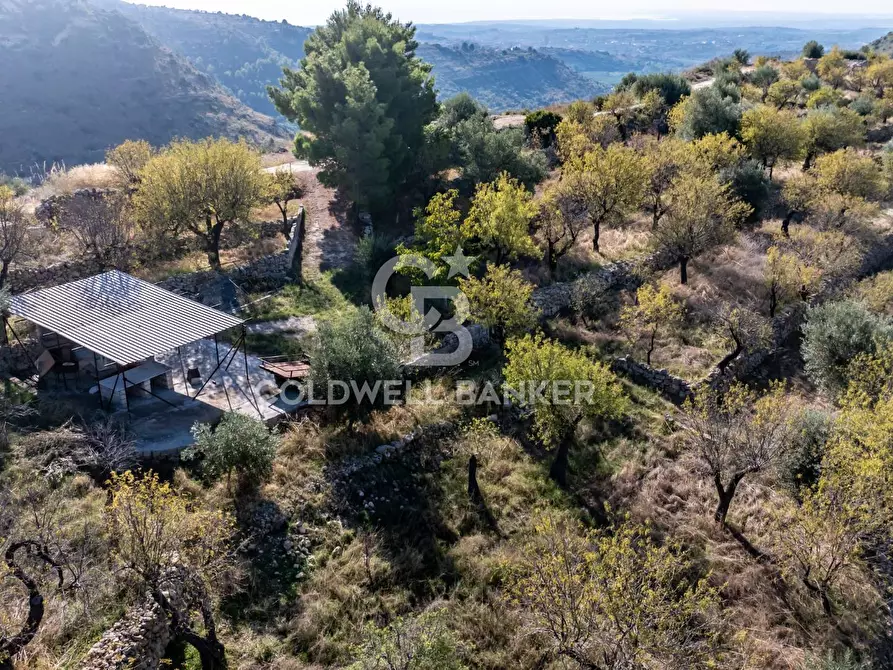Immagine 7 di Terreno agricolo in vendita  a Noto
