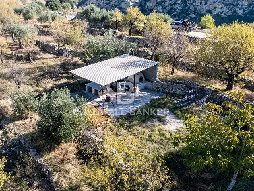 Immagine 8 di Terreno agricolo in vendita  a Noto