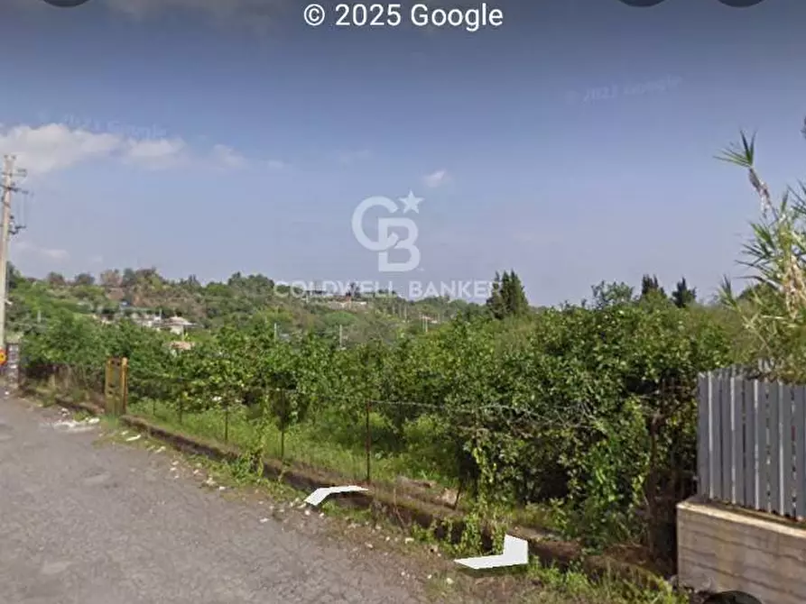 Immagine 2 di Terreno agricolo in vendita  in via felicetto a Santa Venerina