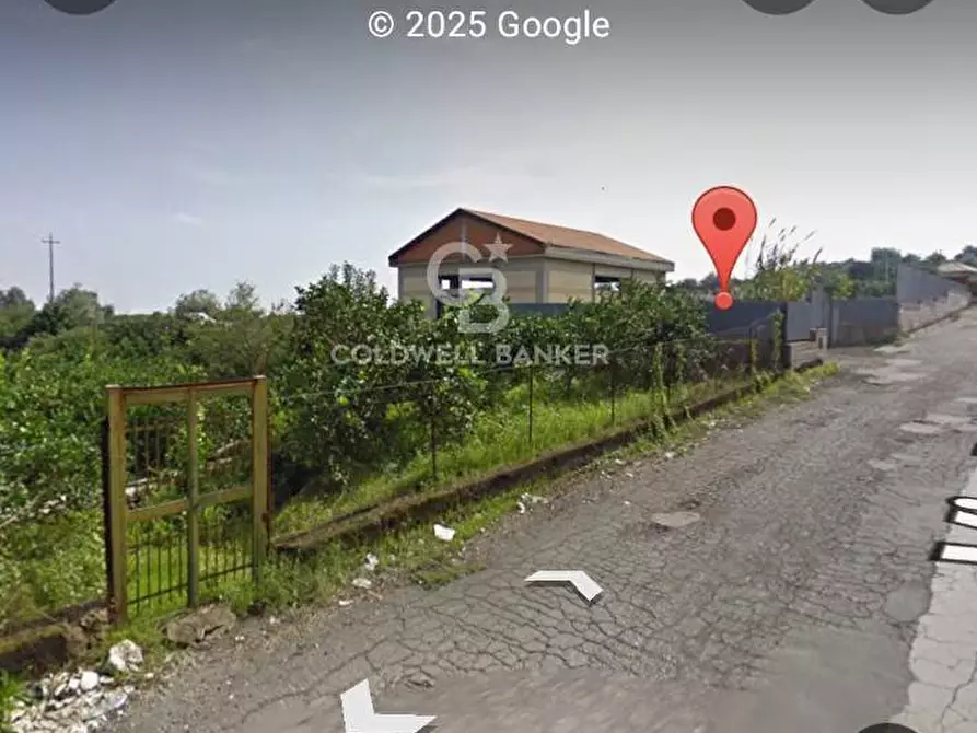 Immagine 3 di Terreno agricolo in vendita  in via felicetto a Santa Venerina