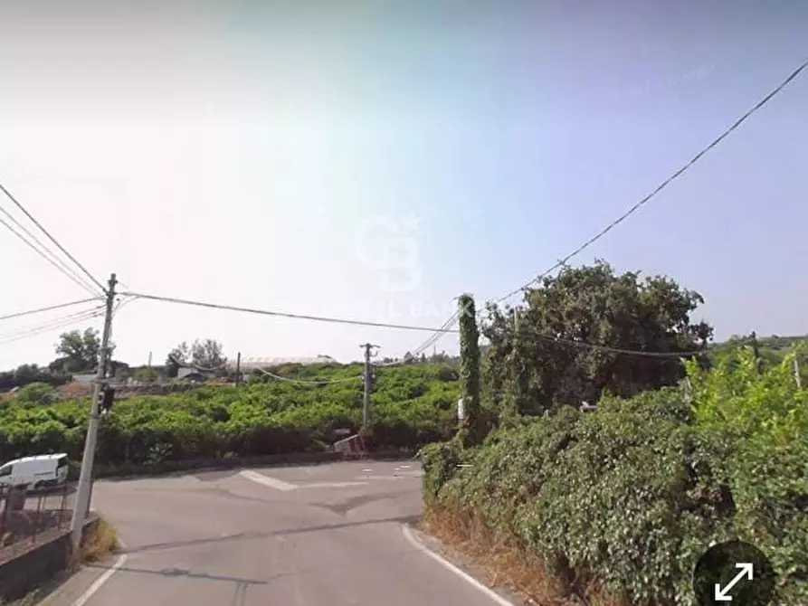 Immagine 5 di Terreno agricolo in vendita  in via felicetto a Santa Venerina