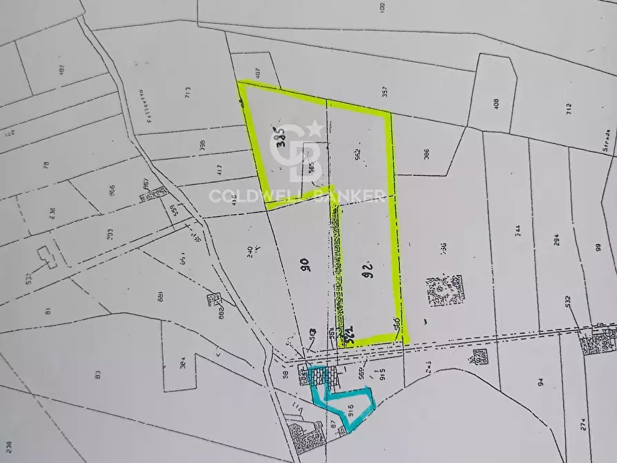 Immagine 6 di Terreno agricolo in vendita  in via felicetto a Santa Venerina