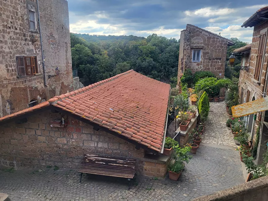 Immagine 38 di Casa indipendente in vendita  in VIA DI PORTA CANALE 25 a Arlena Di Castro