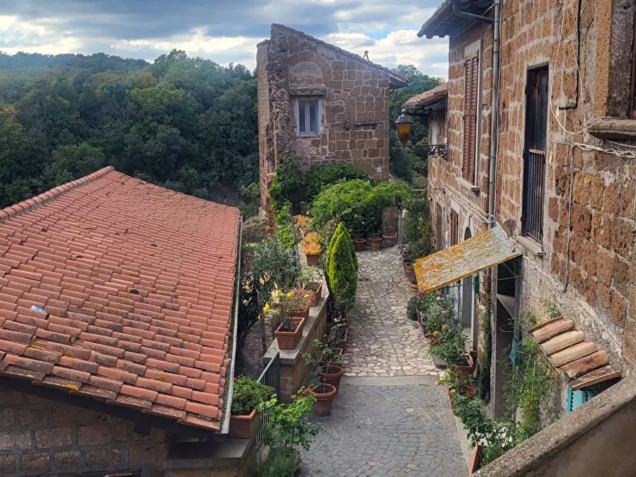 Immagine 40 di Casa indipendente in vendita  in VIA DI PORTA CANALE 25 a Arlena Di Castro