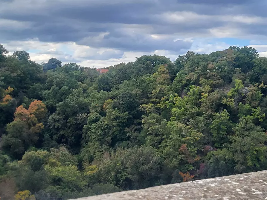 Immagine 51 di Casa indipendente in vendita  in VIA DI PORTA CANALE 25 a Arlena Di Castro