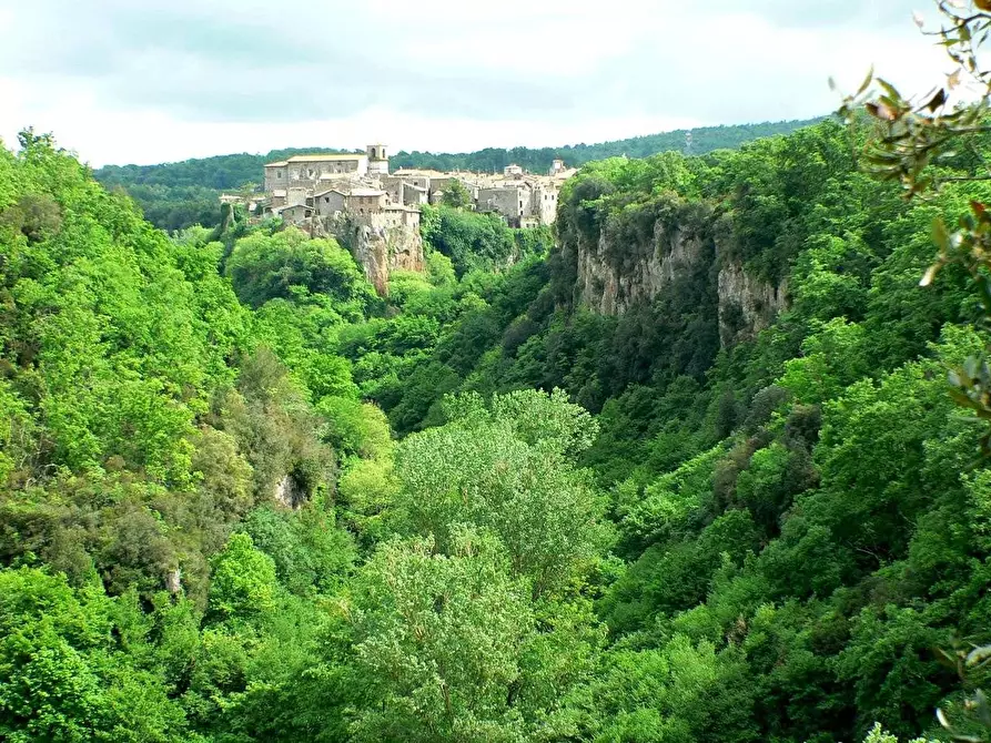 Immagine 3 di Casa indipendente in vendita  in VIA DI PORTA CANALE 25 a Arlena Di Castro