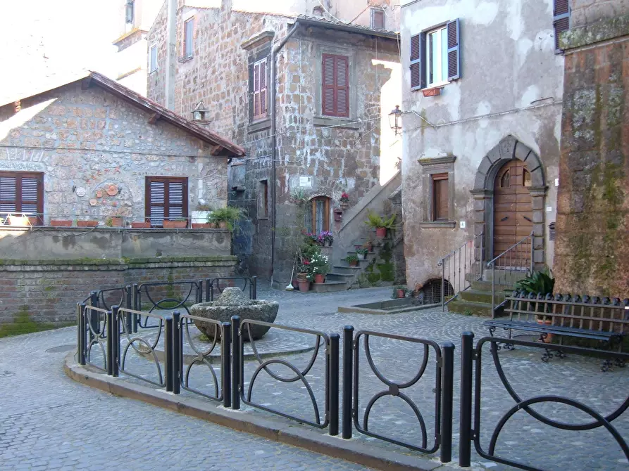Immagine 4 di Casa indipendente in vendita  in VIA DI PORTA CANALE 25 a Arlena Di Castro