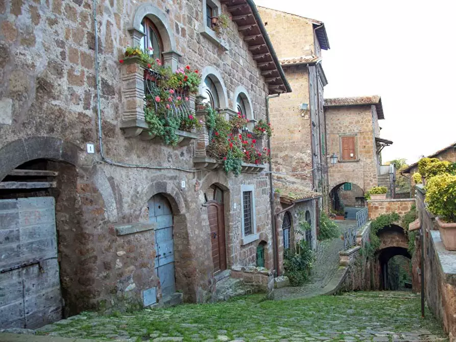 Immagine 5 di Casa indipendente in vendita  in VIA DI PORTA CANALE 25 a Arlena Di Castro