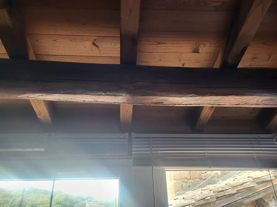 Immagine 35 di Casa indipendente in vendita  in VIA DI PORTA CANALE 25 a Arlena Di Castro