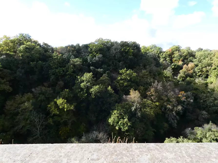 Immagine 52 di Casa indipendente in vendita  in VIA DI PORTA CANALE 25 a Arlena Di Castro