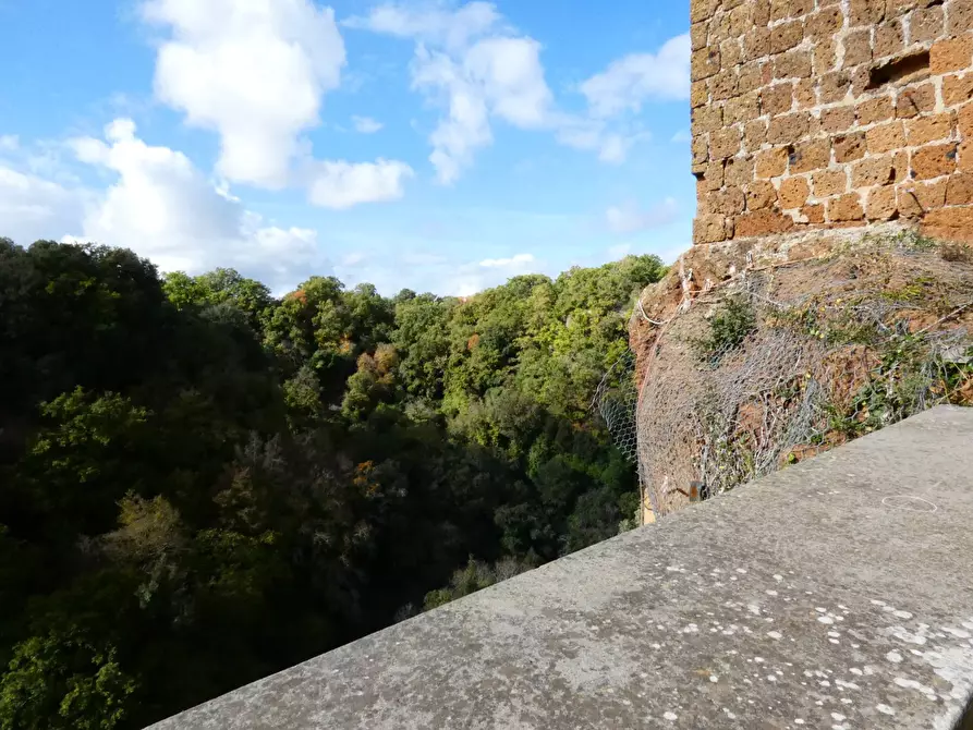 Immagine 53 di Casa indipendente in vendita  in VIA DI PORTA CANALE 25 a Arlena Di Castro